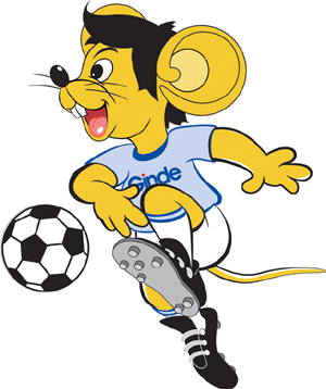 回答所有假 回答所有假